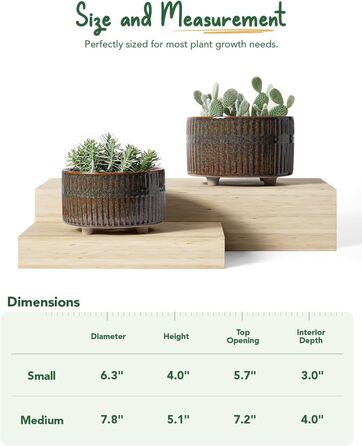 Набір горщиків для сукулентів LE TAUCI, 16,5+20 см, кераміка, для дому, з дренажними отворами, сучасний циліндричний дизайн, набір 2 шт., реактивна глазур чорного кольору