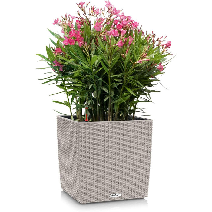 Горщик Lechuza Cube Cottage 30, 30x30x30 см, система автополиву, пісочно-коричневий