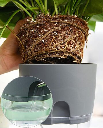 Набір горщиків для трав на кухню, самополив, 3 шт. – сад для кухні, 18.2x11x15.3 см, для свіжих кухонних трав (сірий, 6 шт.)