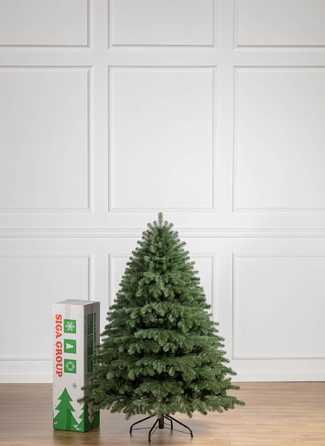 Ялинка лита 'Версальська' Зелена 1,80м