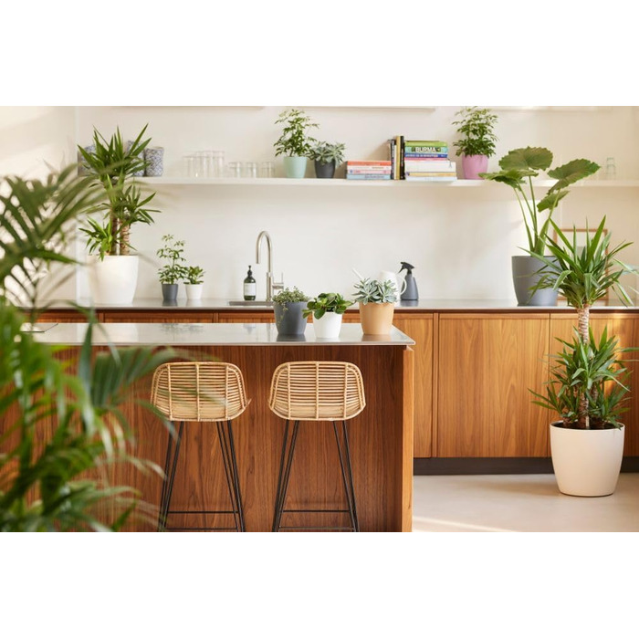 Горщик для квітів Elho Brussels Rund Rollen 35 - Чорний/Антрацит, 35 см, з роликами, з переробленого пластику