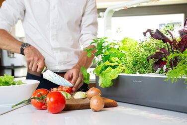 Click and Grow Indoor Garten: Розумний сад для вирощування зелені вдома з LED, 9 капсул (Темно-сірий)