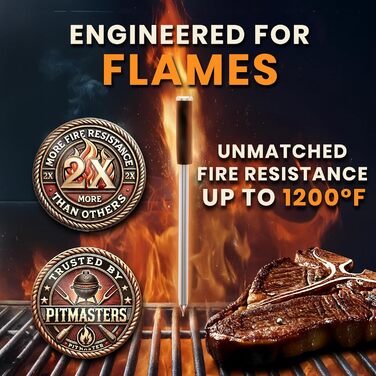 MeatStick V: Бездротовий термометр для м'яса з WiFi та Bluetooth, 650°C, для гриля, копчення, Sous Vide, BBQ, фритюрниці, духовки, smoker