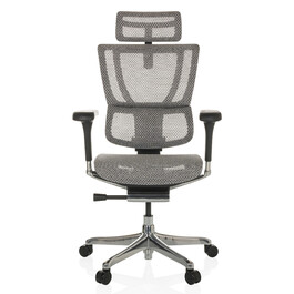 Ергономічне крісло для офісу/керівника ERGOHUMAN SLIM GEN2 з сітчастою спинкою, світло-сірого кольору, hjh OFFICE