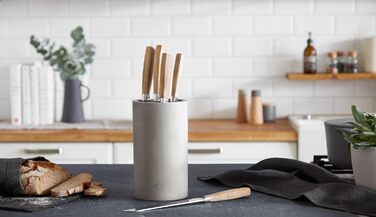 Набір ножів SpringLane 5 предметів + універсальний блок для ножів з висувним тримачем для щітки + набір ножів 5 предметів