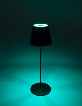 Торшер SCHWAIGER OTL200 - LED лампа, нічник, торшер для саду/інтер'єру, RGB, сенсорне управління, акумулятор, диммування, тепле світло, IP44, антрацит, пластик