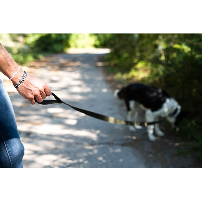 Повідець для собак Beddog Емма, регульований на 3 довжини, подвійний повідець, повідець для вигулу, повідець для вигулу, поводок для собак середнього і великого розміру, загальна довжина 2 м-хакі 2 м/25 мм хакі
