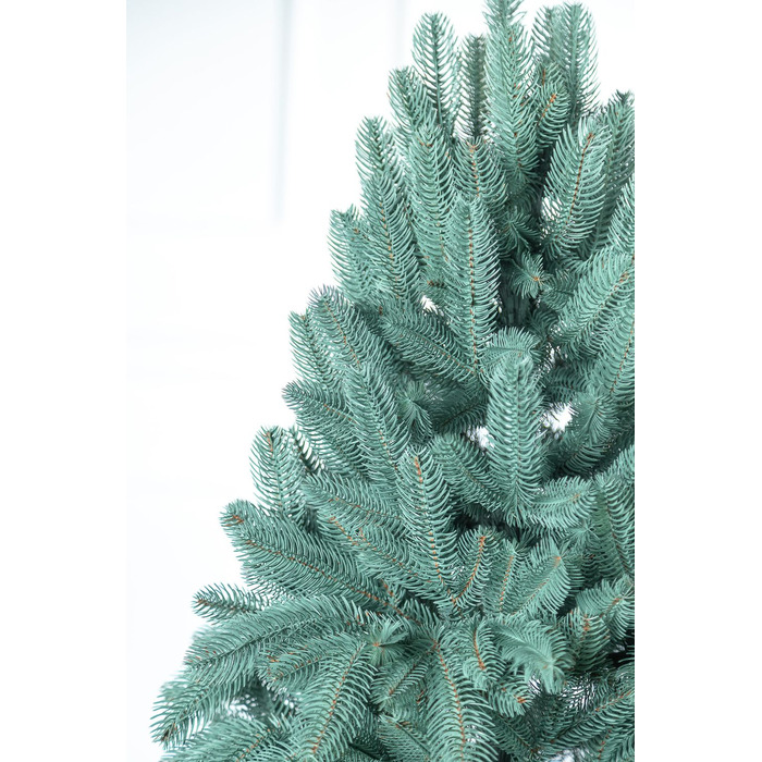 Ялинка лита 'Лапландська' ПАРАСОЛЬКА БЛАКИТНА 2,30м