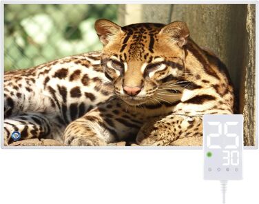 Інфрачервовий обігрівач Hocosyme Leopard 1000W з термостатом - для спальні, офісу, кухні, ванної кімнати