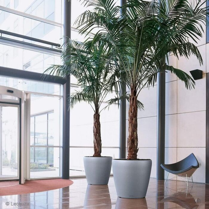 Вазон Lechuza Classico Premium 21 LS, Комплект, Білий (70x70x64.5 см)