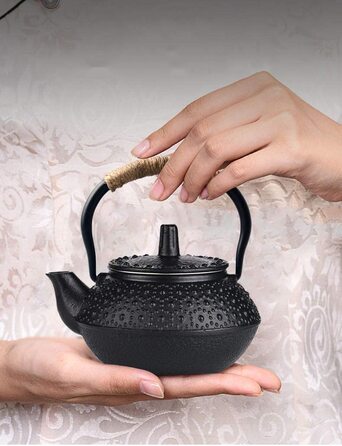 Чайник Webao з чавуну, японський чайник Tetsubin, чайник з ситечком з нержавіючої сталі (300 мл)