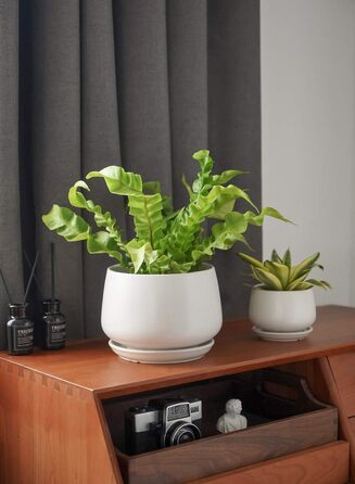 Керамічні горщики LE TAUCI з підставкою, 10+13+16 см, набір з 3 горщиків для кімнатних рослин, з дренажним отвором (білий)