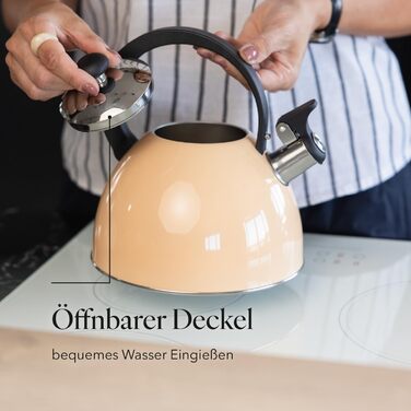 Чайник FLORINA Fenny Satin Induktion 2.5L з флейтою, нержавіюча сталь, Cool-Touch, сучасний дизайн (Brillo - персиковий)