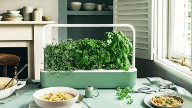 Click and Grow Indoor Garten: Розумний сад для вирощування зелені вдома з LED, 9 капсул (Зелений)
