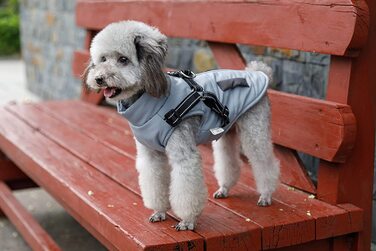 Пальто для собак Lairle, зимова куртка для собак, пальто для собак, пальто для цуценят, куртка, мокрий одяг, пальто для маленьких собак, пальто для маленьких собак середнього розміру Roa (XXL, синій)