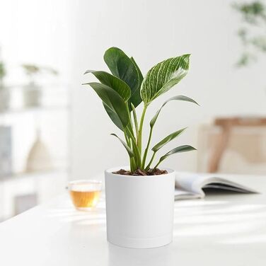 Набір горщиків для квітів з підставкою (5 шт.), 17.8/15.2/14/12.7/10.2 см, пластикові, для гідропоніки, кімнатних рослин та балконів, зелені з коричневим піддоном