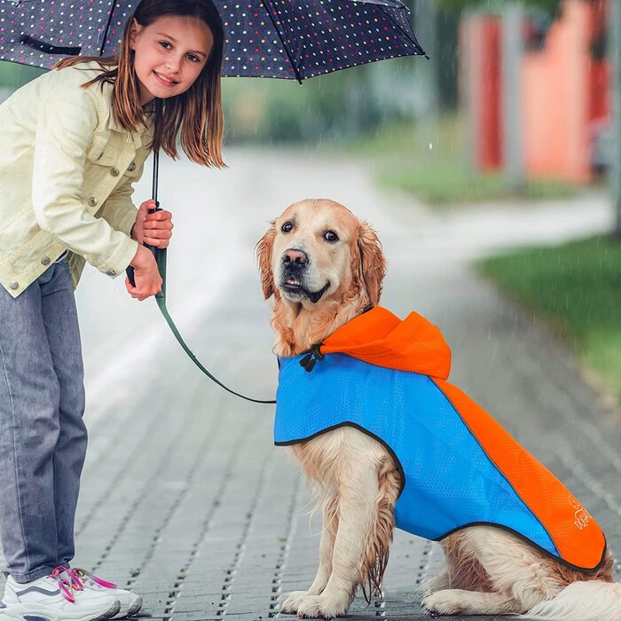 Дощовик dog DQGHQME, водонепроникний, світловідбиваючий, ультралегкий, регульований, для всіх розмірів (синій/помаранчевий, L)