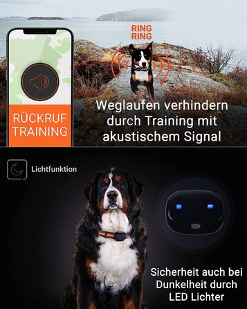 Трекер для собак-відстеження в реальному часі - Безпека для собак-водонепроникність IP67 4G - для собак-чорний, 4G-GPS-
