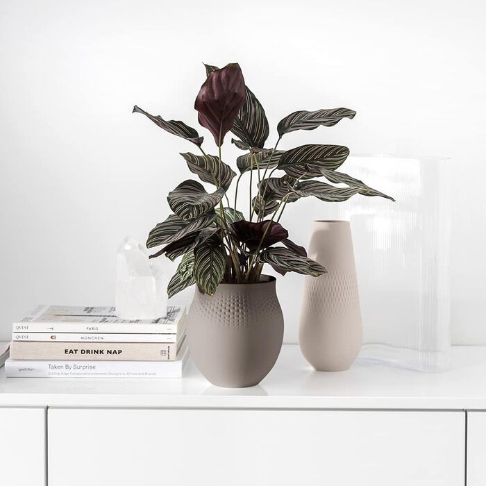 Vieroy & Boch ваза Carré, 23 см, преміум-фарфор, Perle/Taupe/L