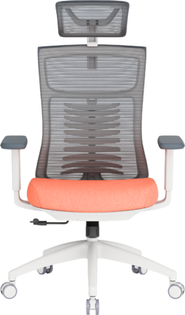 Крісло офісне OfficePro Balance OC550-W-DG-OR