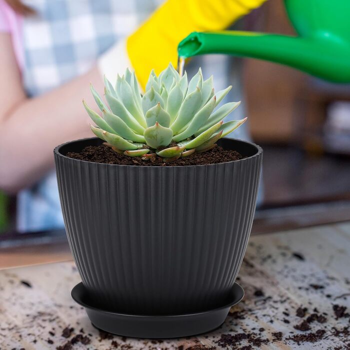Набір горщиків для квітів з пластику, 8 шт. з отворами, круглі підставки, горщики для кактусів та трав, набір для офісу, балкону, саду, сукулентів, чорний