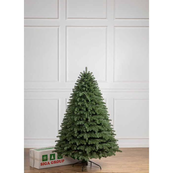 Ялинка лита 'Версальська' Зелена 2,10м