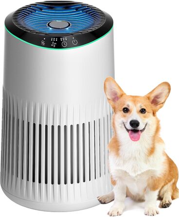 Повітряочисник для спальні, офісу, кімнати для курців, для алергіків, білий, 1 шт., 3 режими