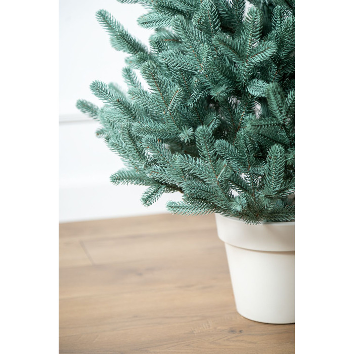 Ялинка лита 'Віденська' в горщику блакитна 1,10 м