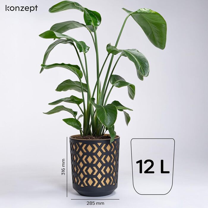 Квітчанка KONZEPT 30 см, 12 л, пластик, для дому та балкону, чорно-золота