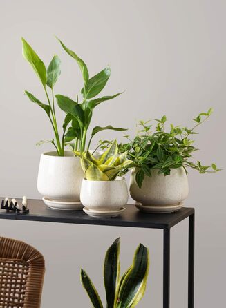 Керамічні горщики LE TAUCI з підставкою, 10+13+16 см, набір 3 шт. для кімнатних рослин, з дренажним отвором, бежева реактивна глазур