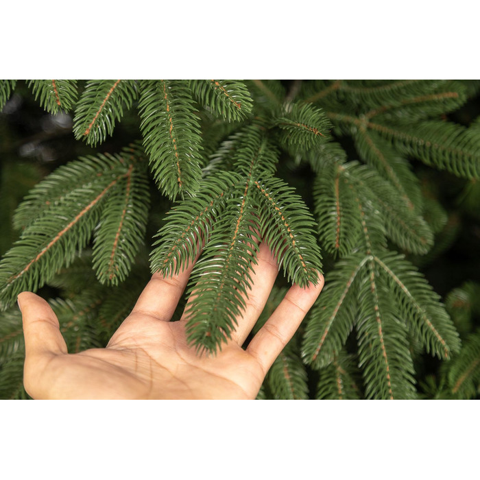 Ялинка лита 'Лапландська' ПАРАСОЛЬКА ЗЕЛЕНА 1,50м