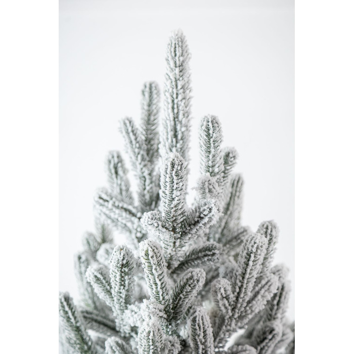 Ялинка лита 'Віденська' в горщику ЗАСНІЖЕНА 1,10м