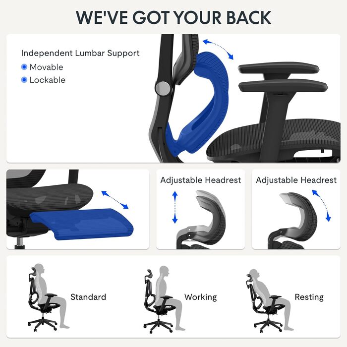 Крісло офісне FLEXISPOT ErgoX з регульованою поперековою підтримкою, 4D підлокітниками та 2D підголівником, дихаючий матеріал, висота регулюється, вантажопідйомність до 130 кг
