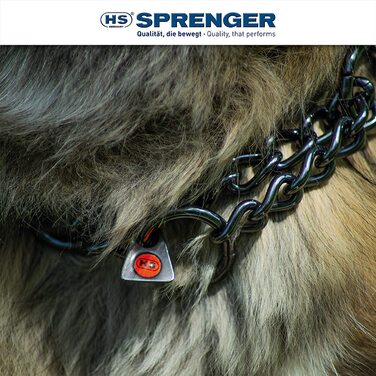 Нашийник для собак Sprenger з наскрізним ланцюгом 3 мм i нашийник з нержавіючої сталі для короткошерстих і довгошерстих порід собак вагою до 55 кг, 45 см, чорний 45 см
