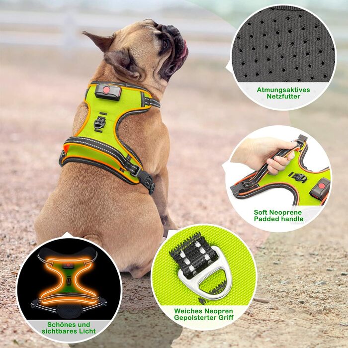 Світлодіодна шлейка для собак, акумуляторна (XS, помаранчева)