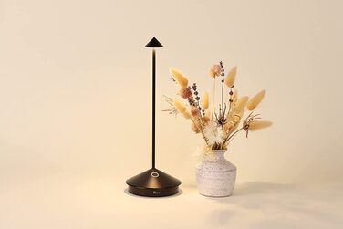 Zafferano Pina Pro: Бездротова LED-лампа для дому та саду з регулюванням яскравості, чорна