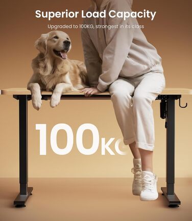 Електричний стіл MAIDeSITe з регулюванням висоти, 2 ніжки, 4 пам'яті, T1 Pro (Чорний)