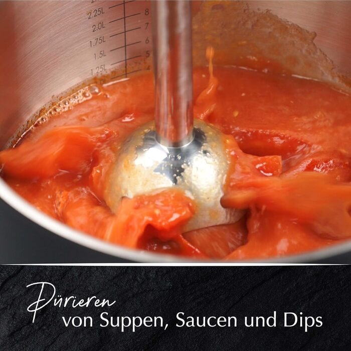 Сталевий блендер Stanley Rogers 500W з 1L скляною колбою, 4-лопатева система + насадка для змішування, 2 швидкості (занурювальний блендер)