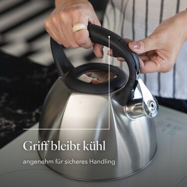 Чайник FLORINA Fenny Satin Induktion 2.5L з флейтою, нержавіюча сталь, Cool-Touch, сучасний дизайн, срібний (Dakota)