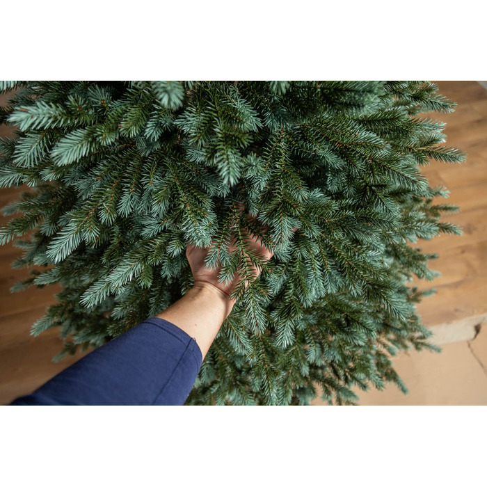 Ялинка лита 'Аляска' ПАРАСОЛЬКА ЗЕЛЕНА 2,10м