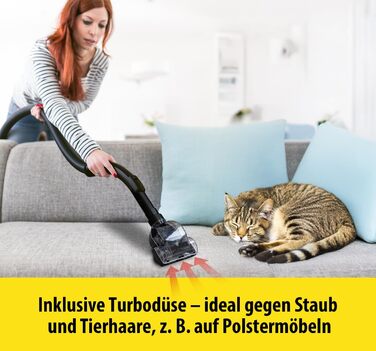 Пилголом Carrera чорного кольору: пилосос циклонного типу, з кабелем, компактний, 800W, HEPA-фільтр, висока потужність всмоктування