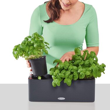 Горщик LECHUZA CUBE Color Triple (колишня BALCONISSIMA) 13680, сірий сланець (2 шт., 40x14x13,5 см)