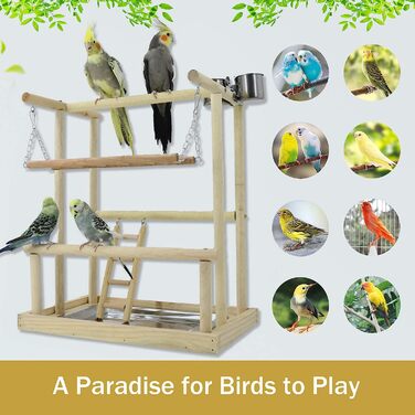 Дитячий майданчик для птахів RoseFlower, майданчик для папуг, підставка для птахів з натурального дерева зі сходами для годівниць, іграшки для жування, сідало для домашніх тварин, аксесуари для птахів для папуг, корелл, птах3 (8)