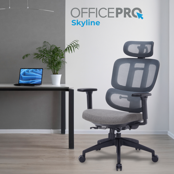 Крісло офісне OfficePro Skyline OC580-B-DG-DG