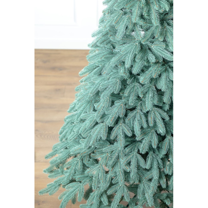 Ялинка лита 'Лапландська' ПАРАСОЛЬКА БЛАКИТНА 2,30м