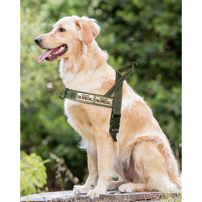 Шлейка для собак Eeyfarog No Pull для маленьких і середніх собак, світловідбиваюча протиосколкова регульована без натягу, шлейка для собак (Зелена, XL) XL Зелена