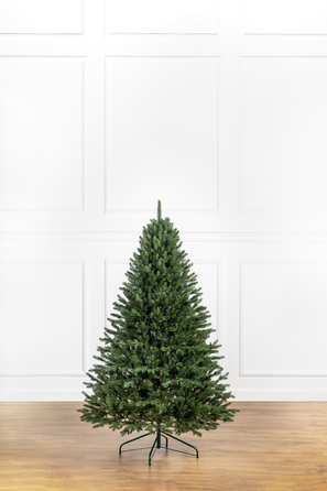 Ялинка лита 'Альпійська' Зелена 1,80м