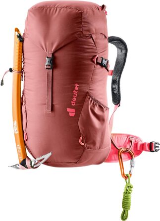 Рюкзак Deuter Unisex Kids Climber 22 Alpine (1 упаковка) (22 л, секвоя-гібіскус)