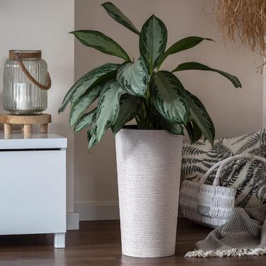 Набір горщиків KADAX (3 шт.) з дерев'яною стружкою, елегантні кашпо з винімною вставкою, захист для квітів (кремовий, 3 шт. - 19,25,30 см)