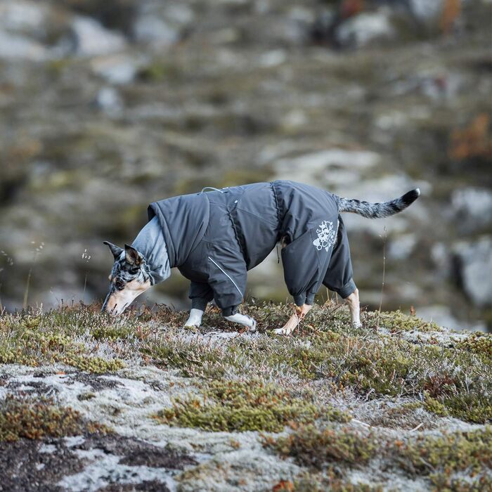 Екстремальна зимова куртка для собак (BlackBerry, 65M)